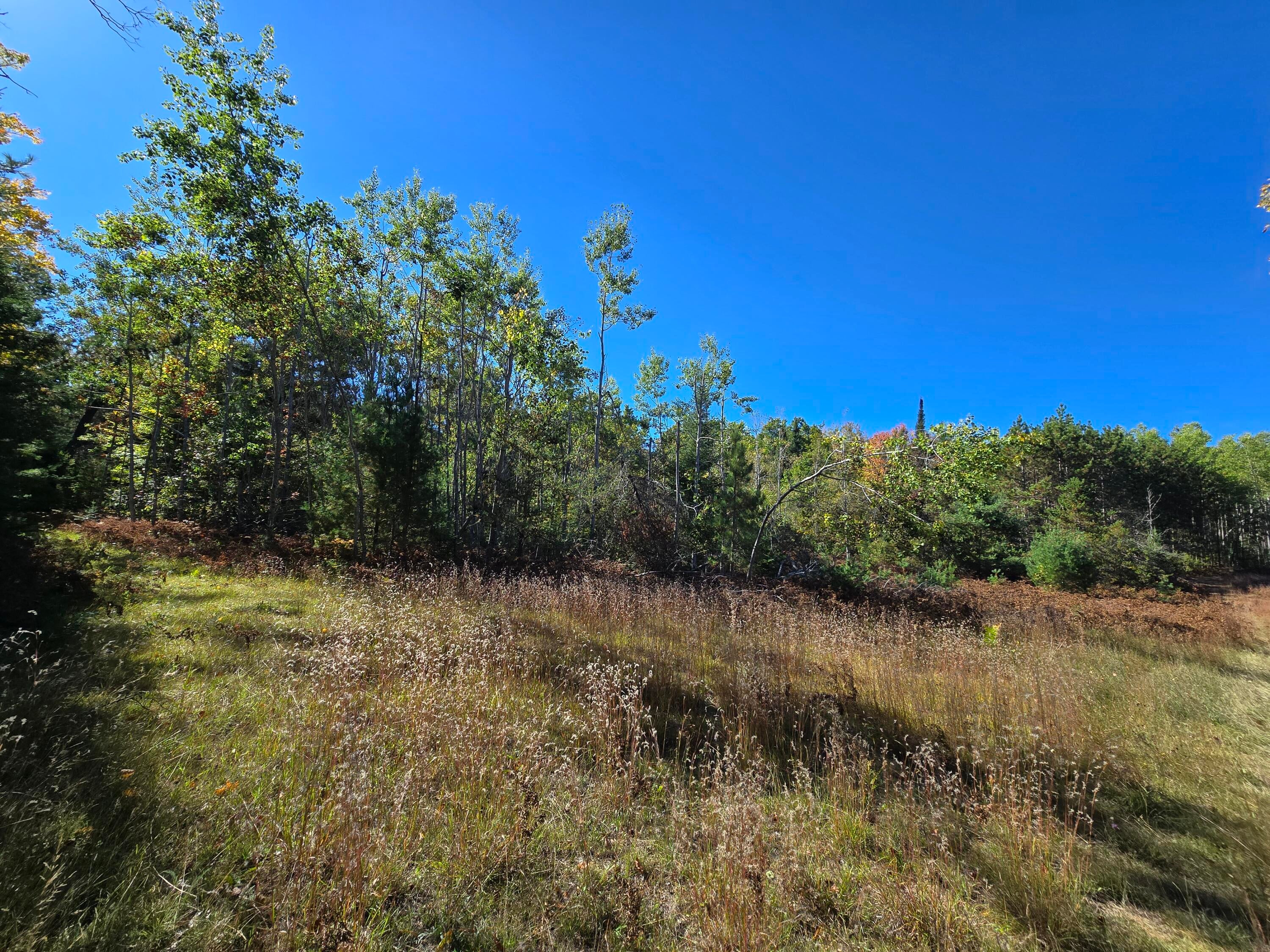 455 East Helmer Lake Road Fairview, MI 48621 - Photo 41 of 86 20250928_150402