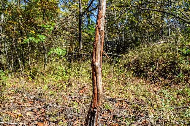 $821,000 | 3547 Hwy Jj, Moberly, MO 65270