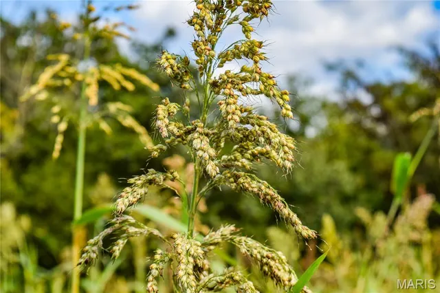 $821,000 | 3547 Hwy Jj, Moberly, MO 65270