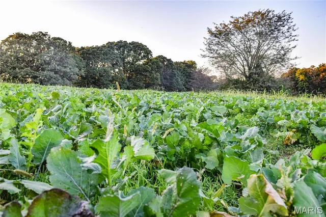 $821,000 | 3547 Hwy Jj, Moberly, MO 65270