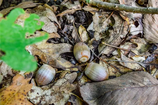 $821,000 | 3547 Hwy Jj, Moberly, MO 65270