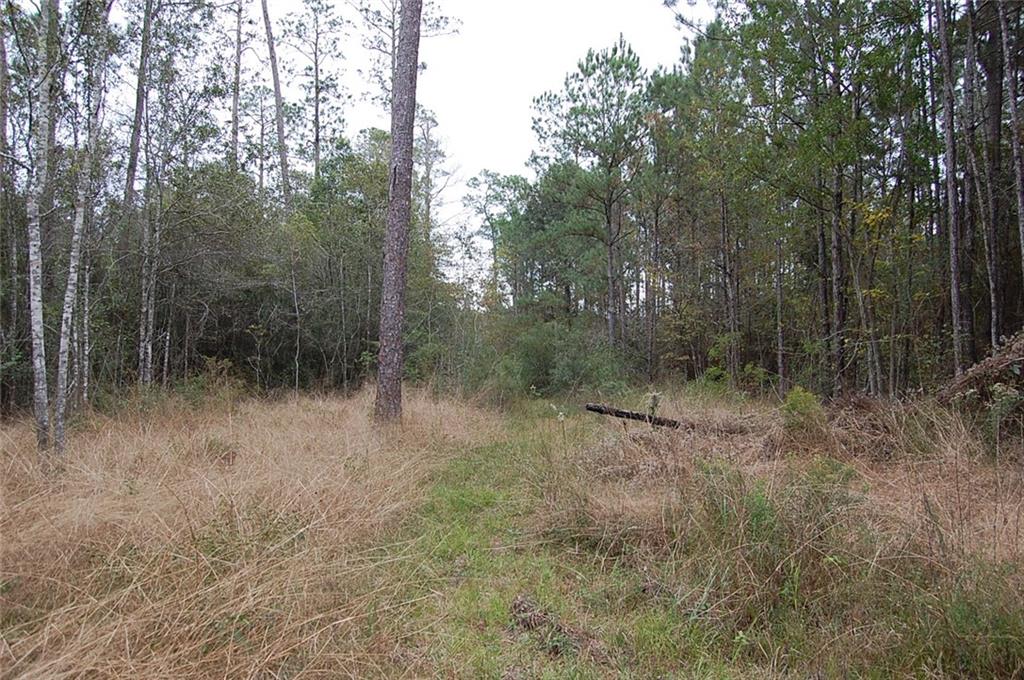 0 Neslo Road Slidell, LA 70460 - Photo 3 of 6