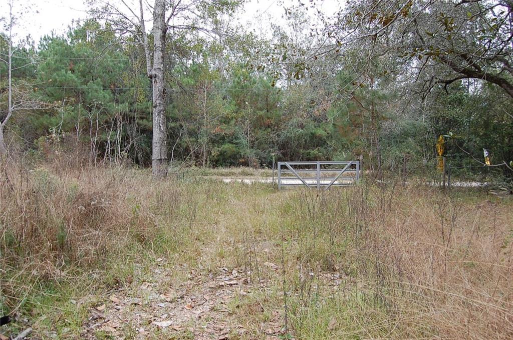 0 Neslo Road Slidell, LA 70460 - Photo 4 of 6