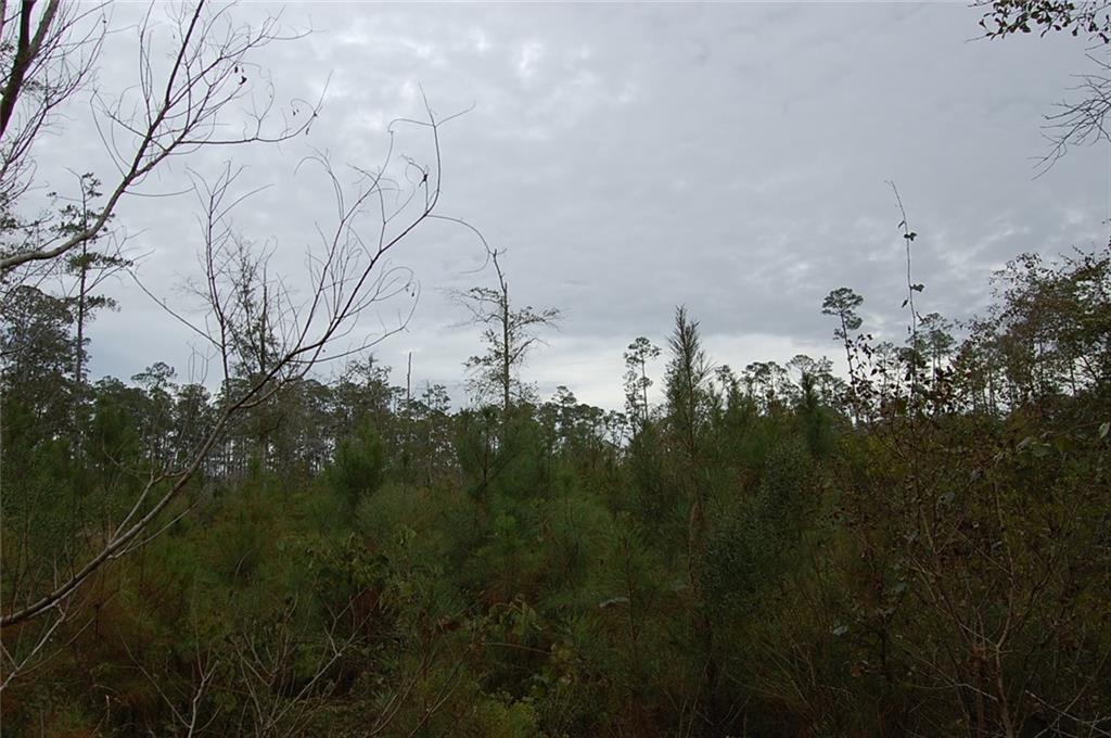 0 Neslo Road Slidell, LA 70460 - Photo 5 of 6