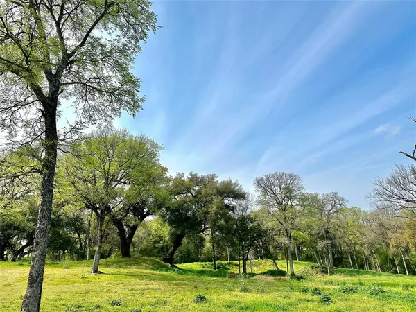 a view of yard with green space