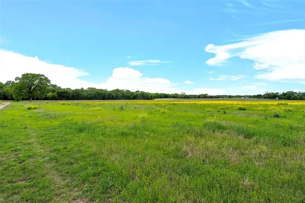 a view of a yard with a trees