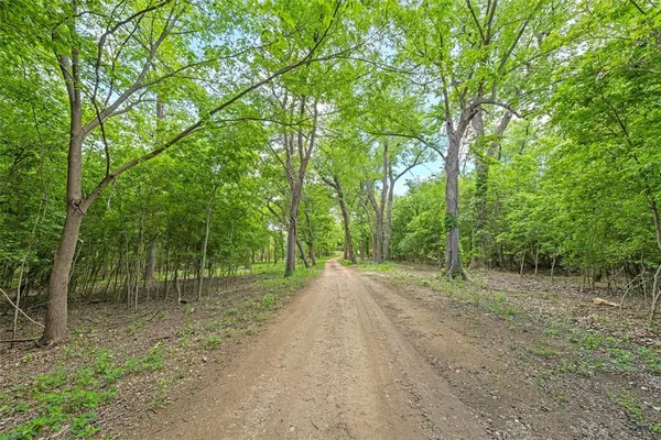 a view of a dirt road with trees in the background