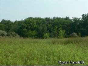 7425 New City Road Rochester, IL 62563 - Photo 3 of 5