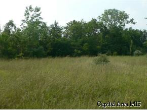 7425 New City Road Rochester, IL 62563 - Photo 5 of 5