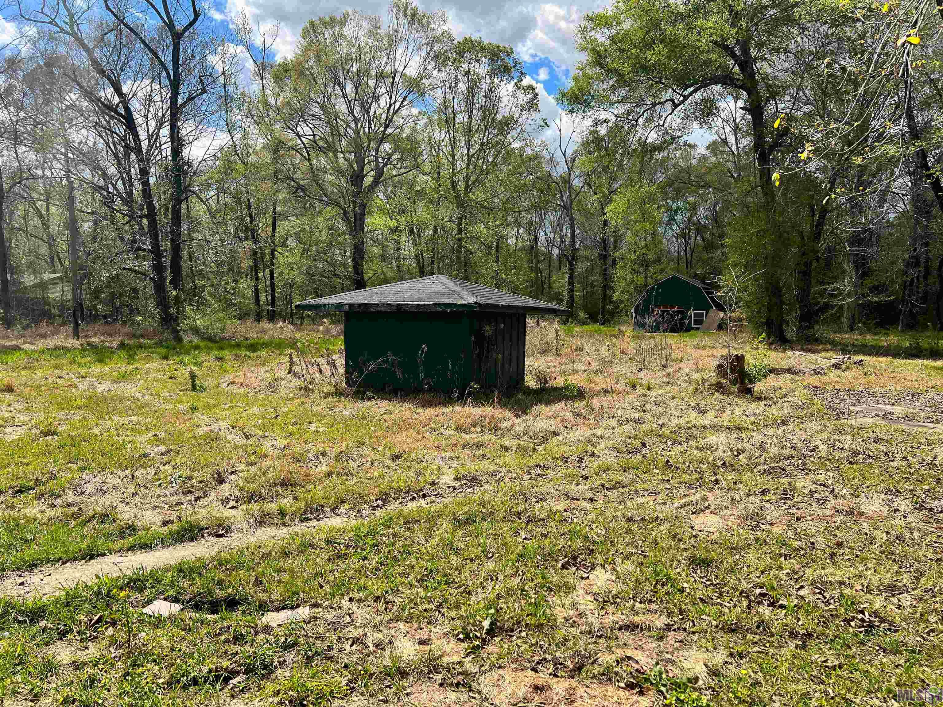 19675 Plank Road Zachary, LA 70791 - Photo 23 of 25 Gallery Image 23