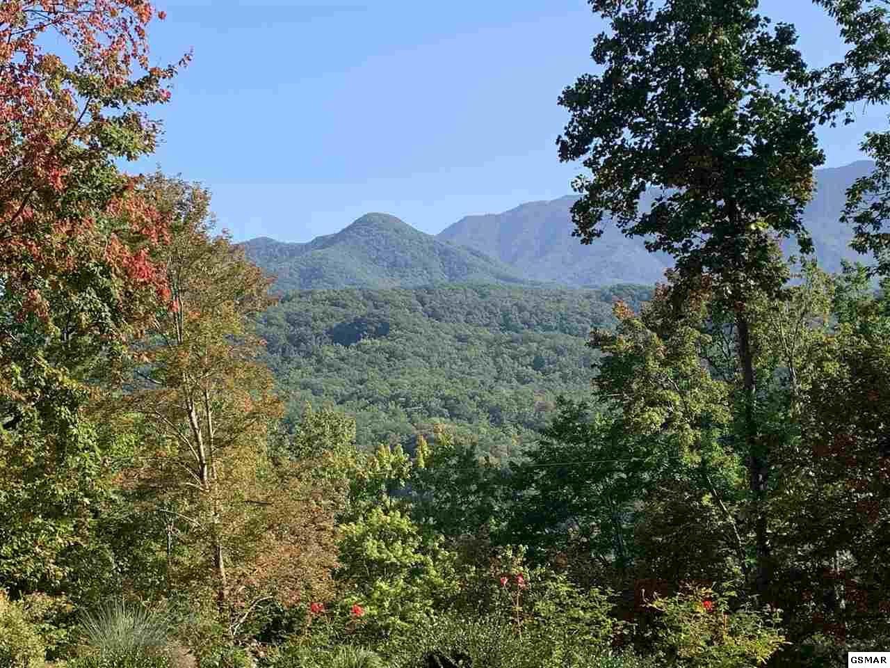 554 Crest Road Gatlinburg, TN 37738 - Photo 11 of 36 Gallery Image 11