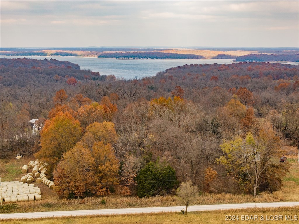2170th Road East Dadeville, MO 65635 - Photo 1 of 1 Gallery Image 1