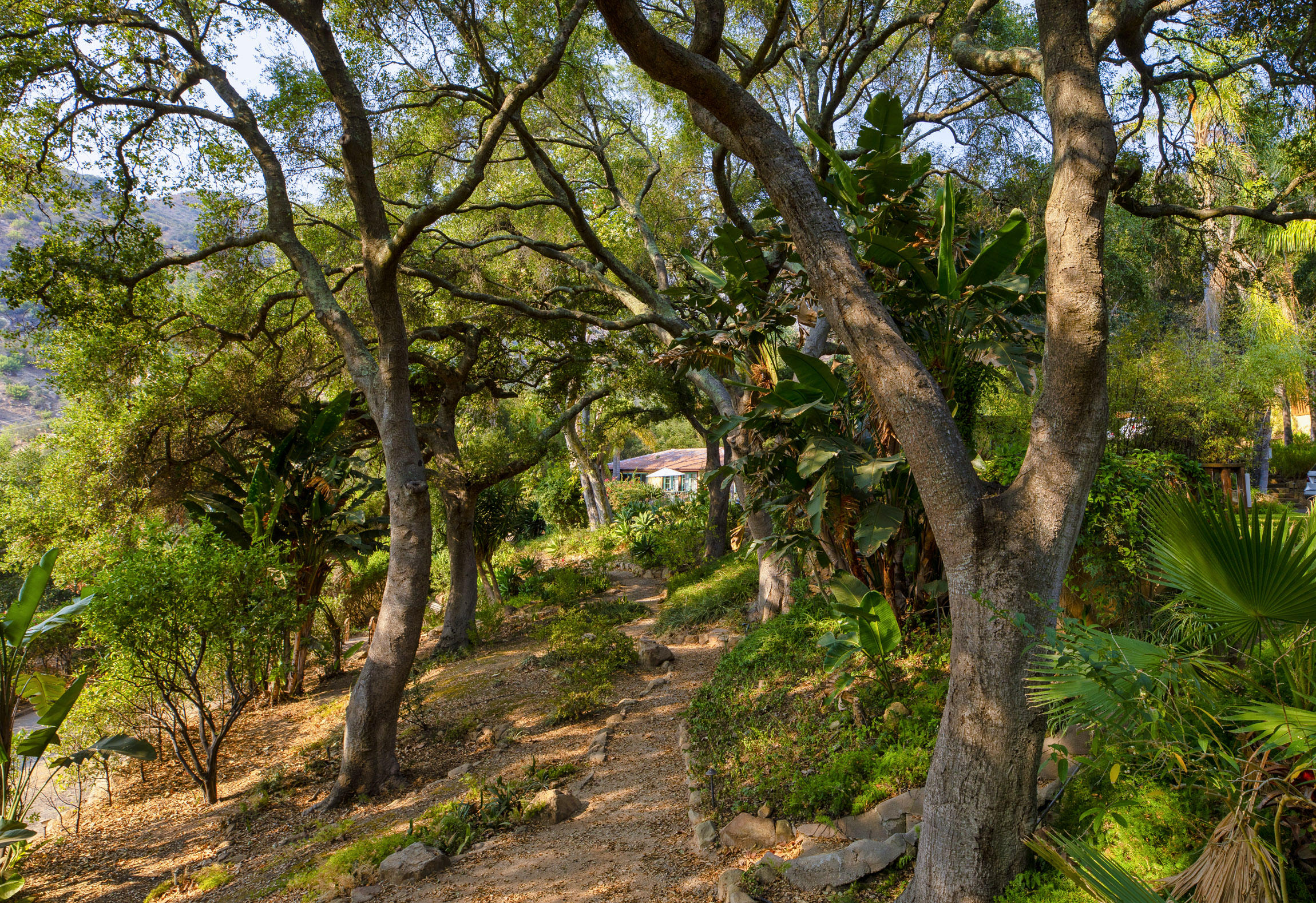904 Toro Canyon Road Santa Barbara, CA 93108 - Photo 15 of 25 904 Toro Canyon_0013
