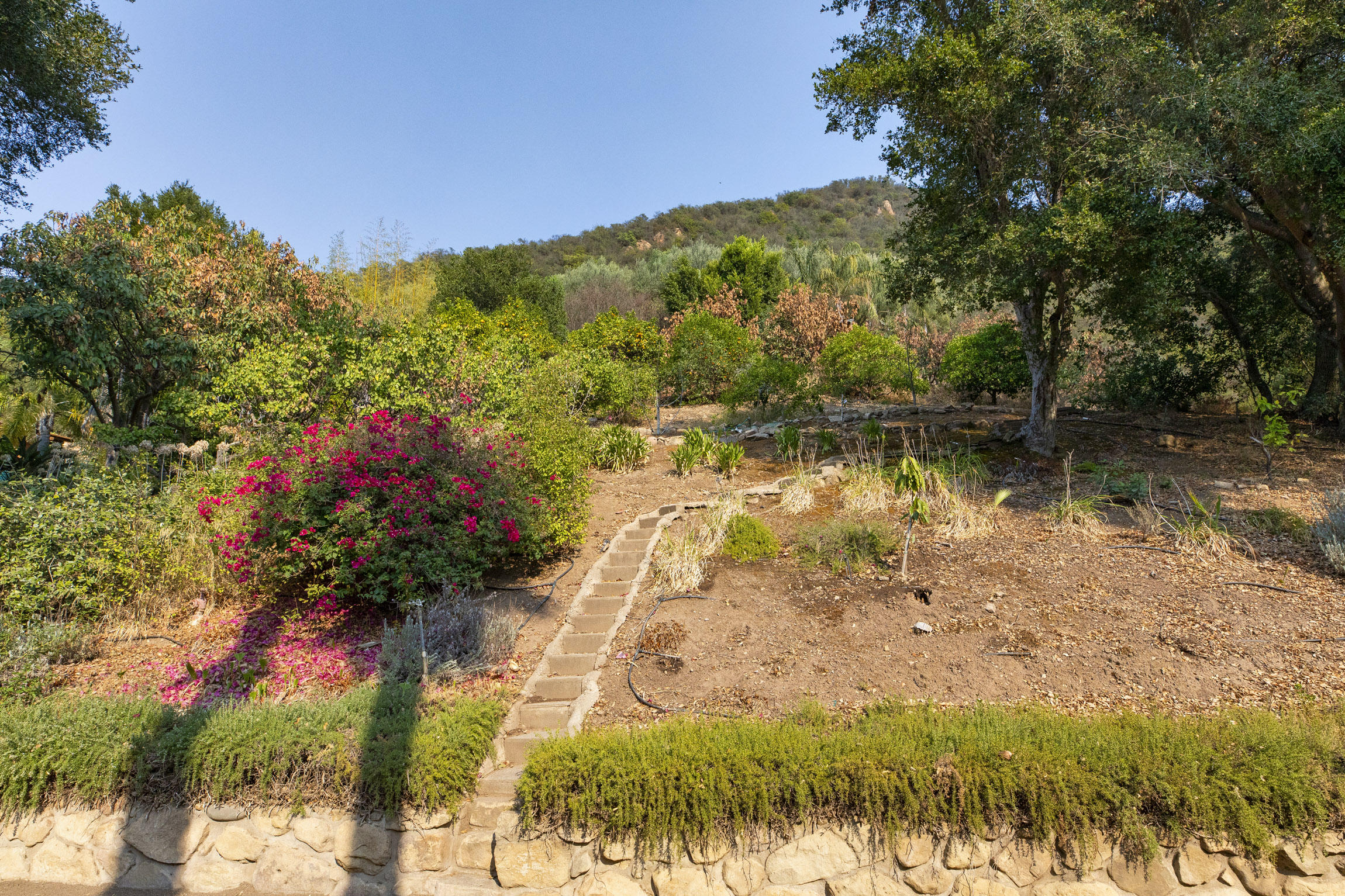 904 Toro Canyon Road Santa Barbara, CA 93108 - Photo 16 of 25 904 Toro Canyon_0014