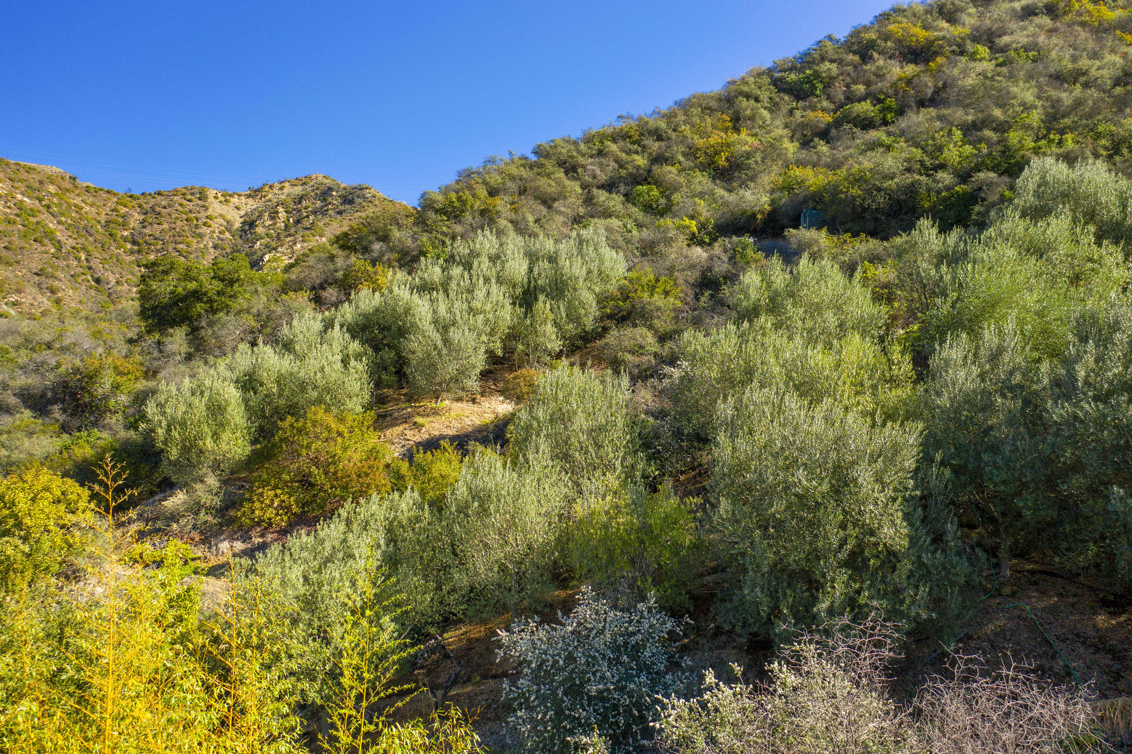 904 Toro Canyon Road Santa Barbara, CA 93108 - Photo 22 of 25 904 Toro Canyon_0021