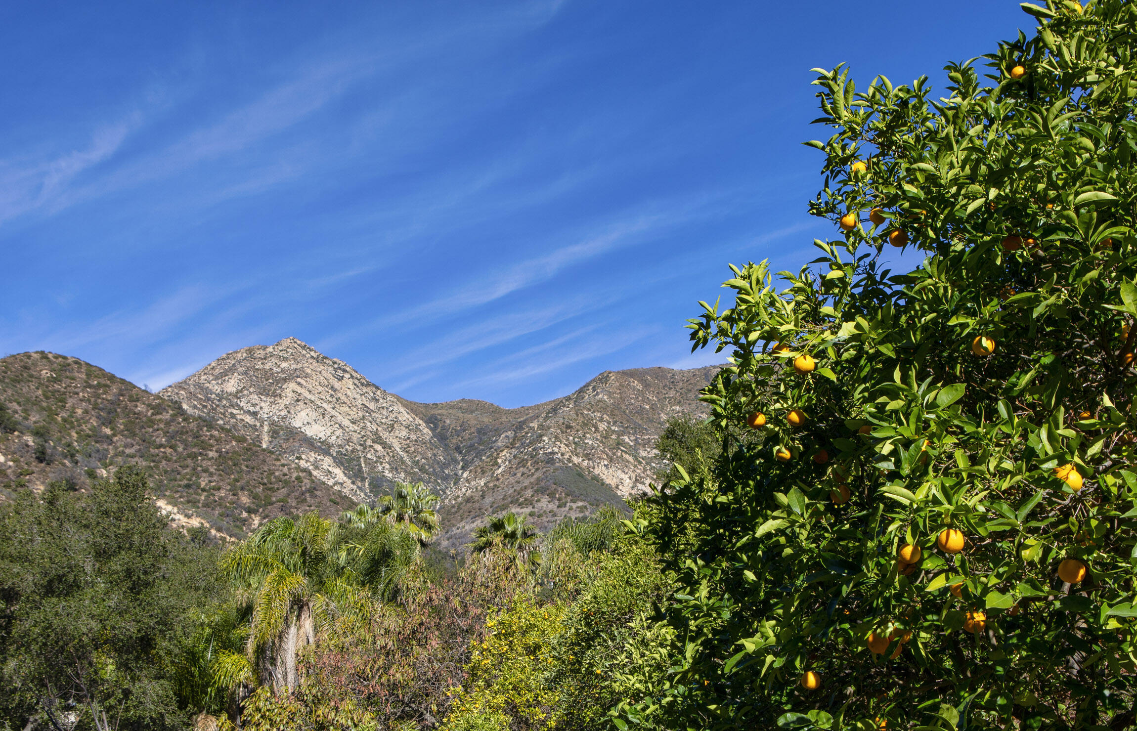 904 Toro Canyon Road Santa Barbara, CA 93108 - Photo 24 of 25 904 Toro Canyon_0023