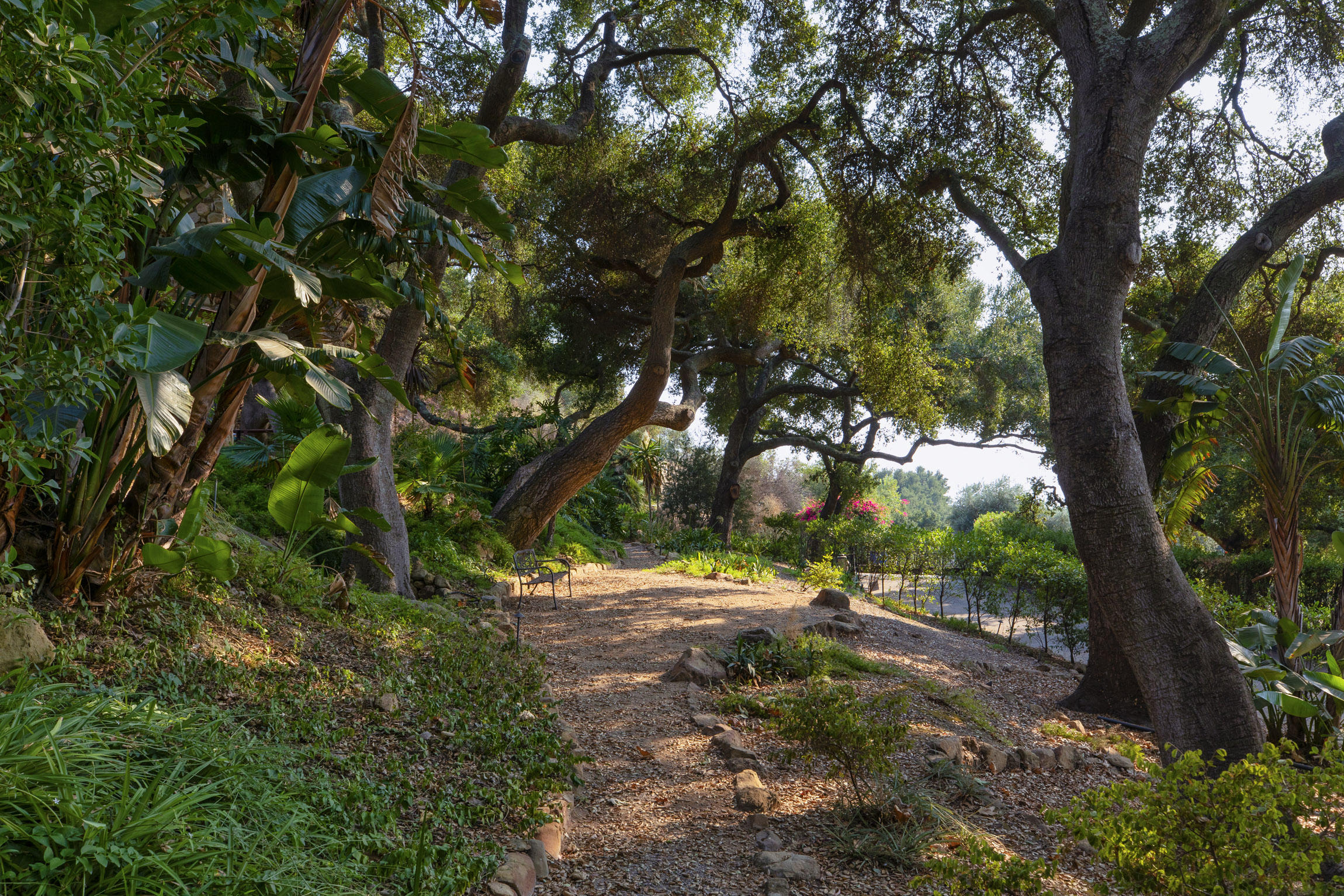 904 Toro Canyon Road Santa Barbara, CA 93108 - Photo 9 of 25 904 Toro Canyon_0007