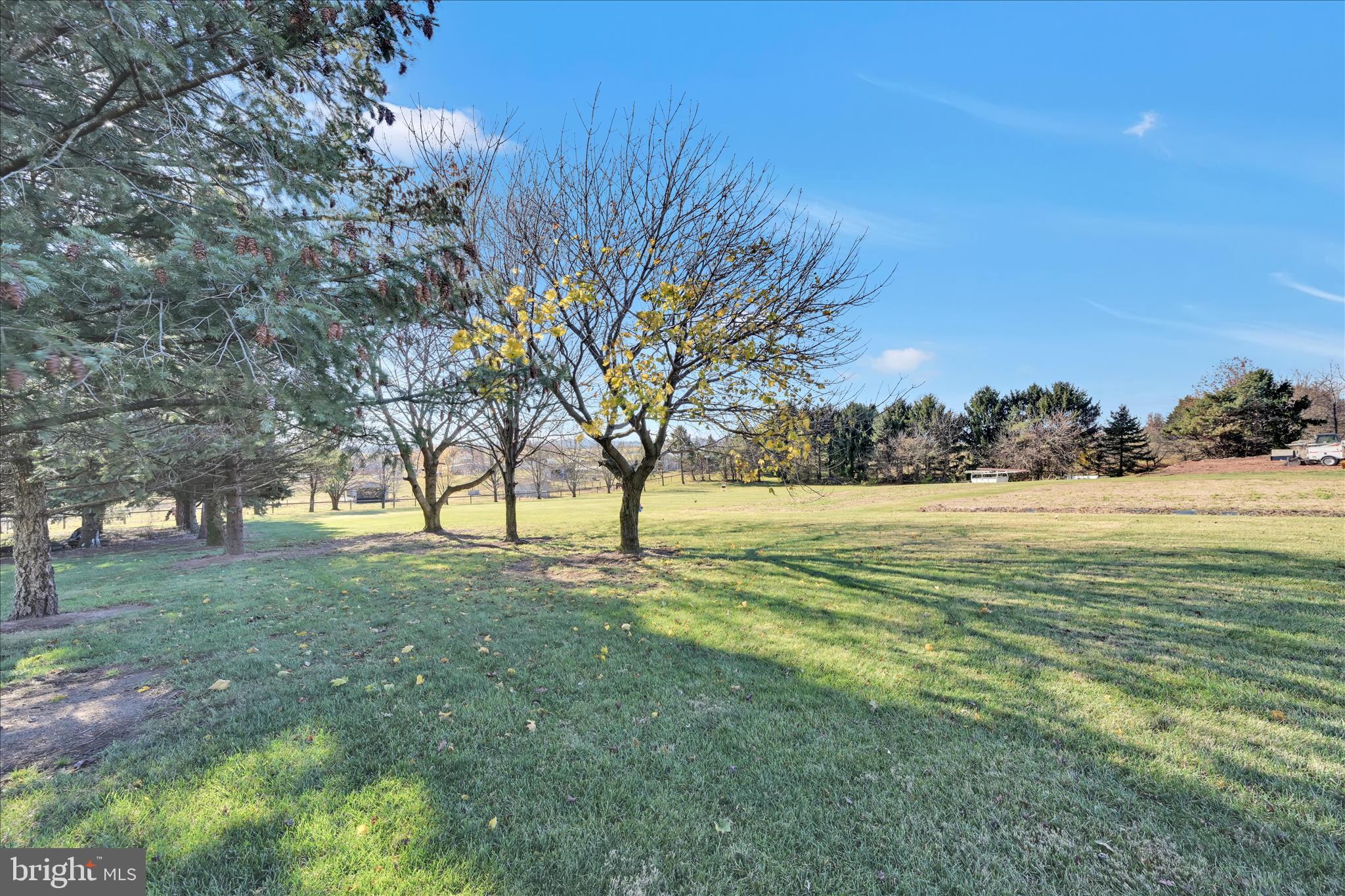 116 Mill Road Bernville, PA 19506 - Photo 33 of 62 a view of yard with trees