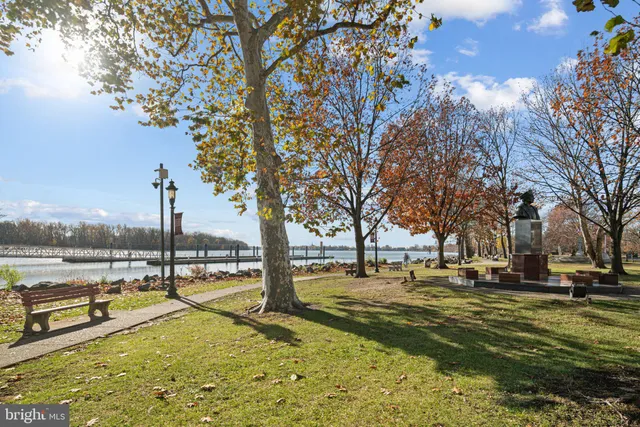 a view of a yard with swimming pool