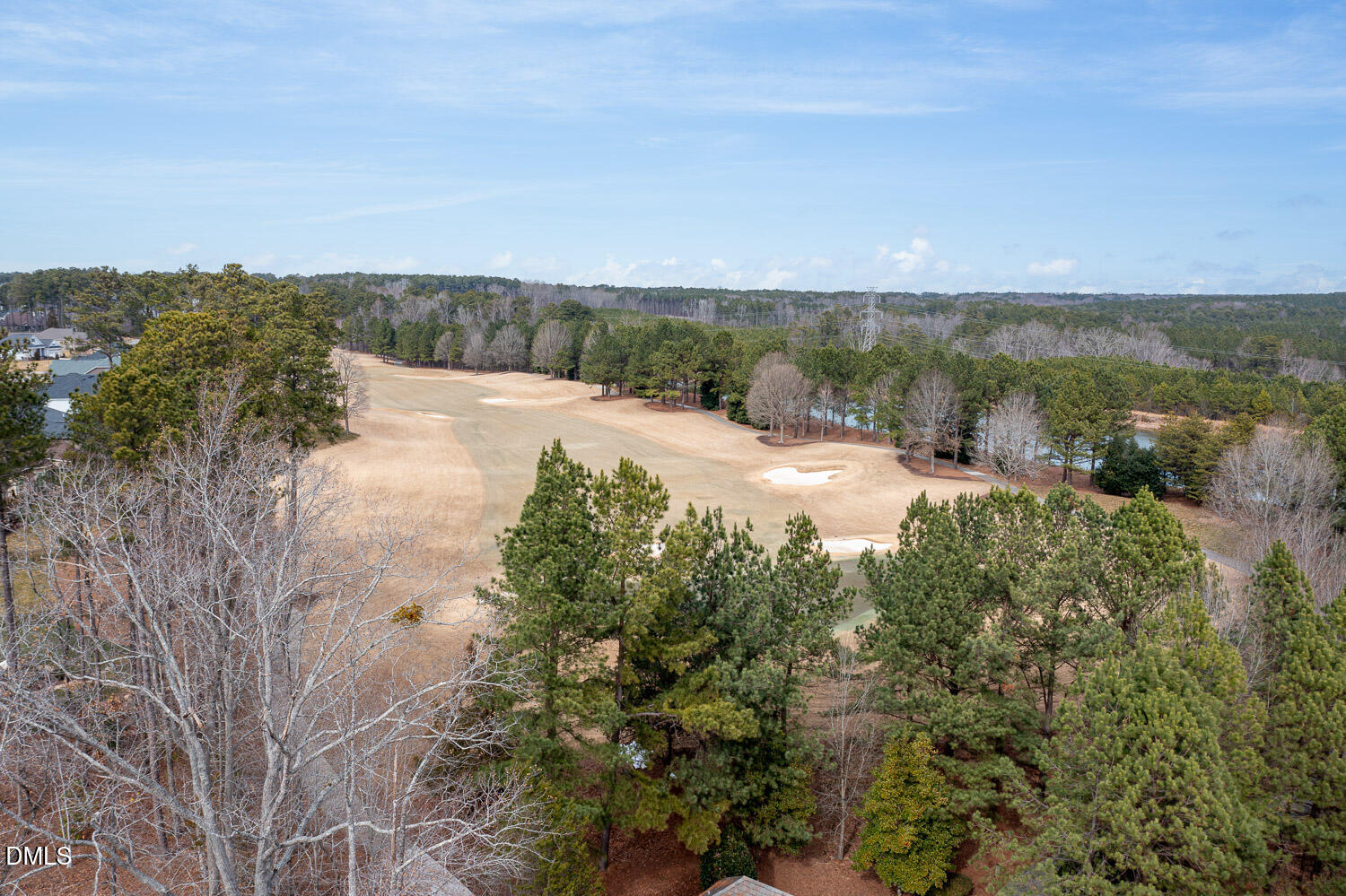 7312 Hasentree Way Wake Forest, NC 27587 - Photo 74 of 88 Golf Courth