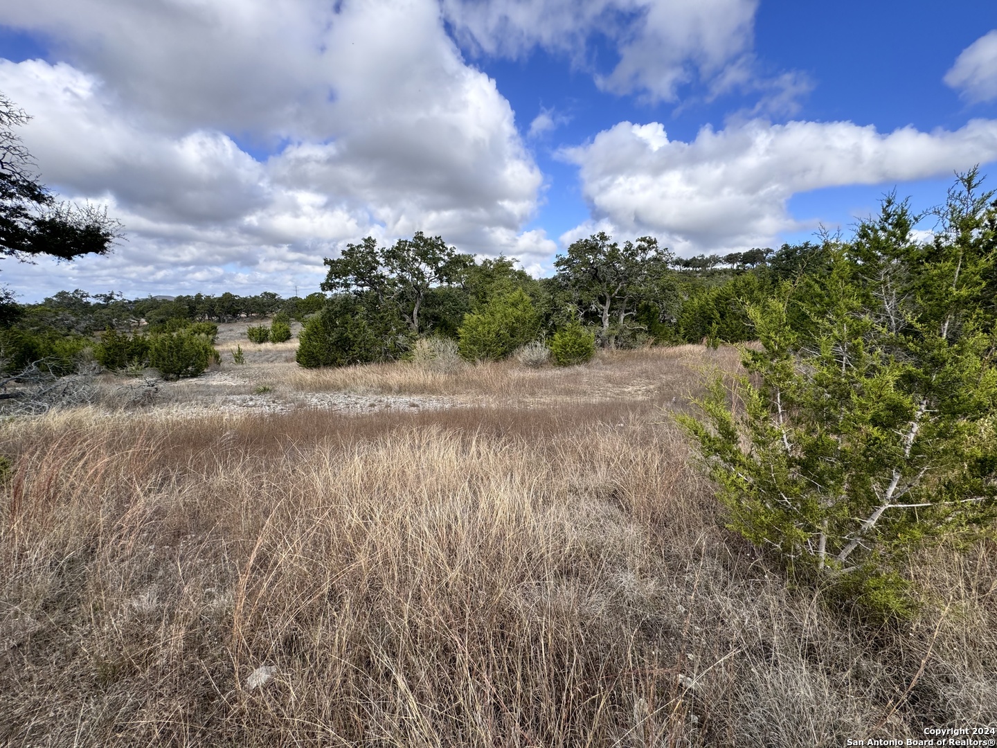 608 Rosemary Rdg Drive Bulverde, TX 78163 - Photo 11 of 16 a view of a dry yard with wooden fence