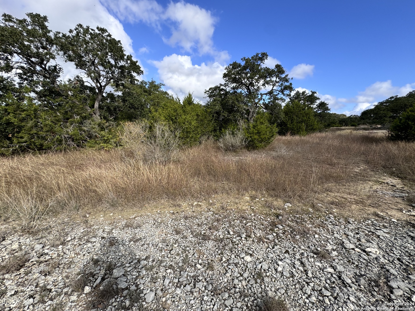 608 Rosemary Rdg Drive Bulverde, TX 78163 - Photo 13 of 16 a view of a dry yard with trees in the background