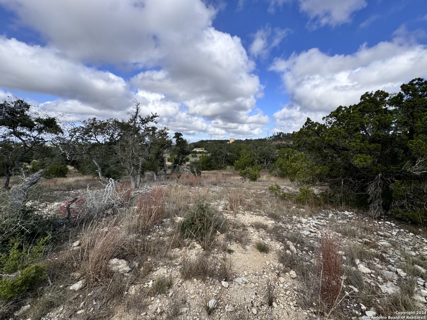 608 Rosemary Rdg Drive Bulverde, TX 78163 - Photo 8 of 16 a view of a yard