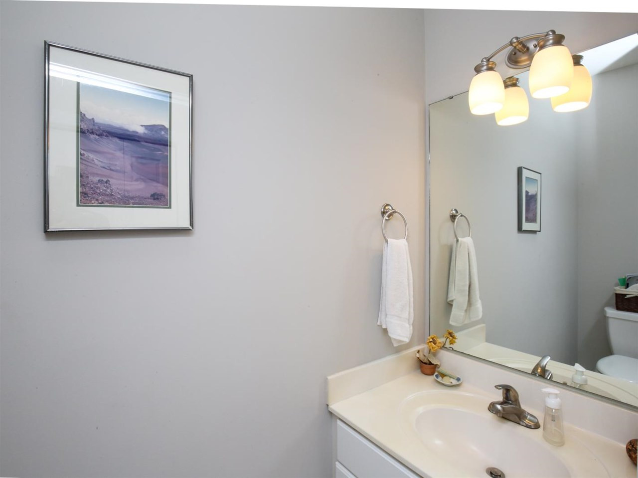 2329 Finley Ridge Lane Raleigh, NC 27615 - Photo 13 of 28 Downstairs Half Bath