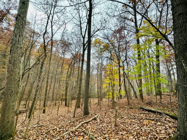 0 Metz Rd Street Parker, PA 16049 - Photo 4 of 8