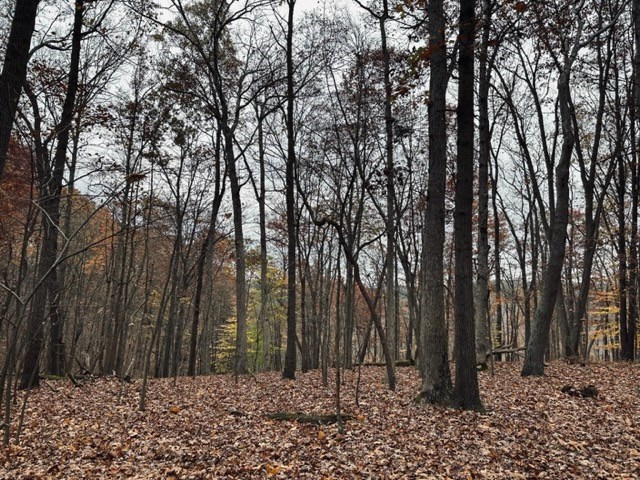 0 Metz Rd Street Parker, PA 16049 - Photo 5 of 8