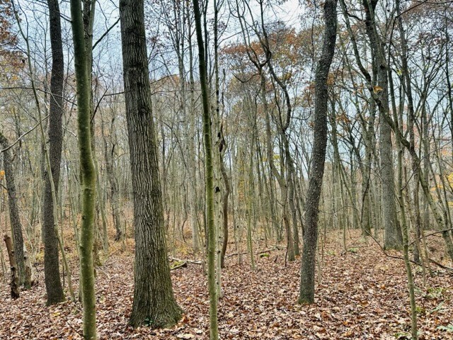 0 Metz Rd Street Parker, PA 16049 - Photo 6 of 8