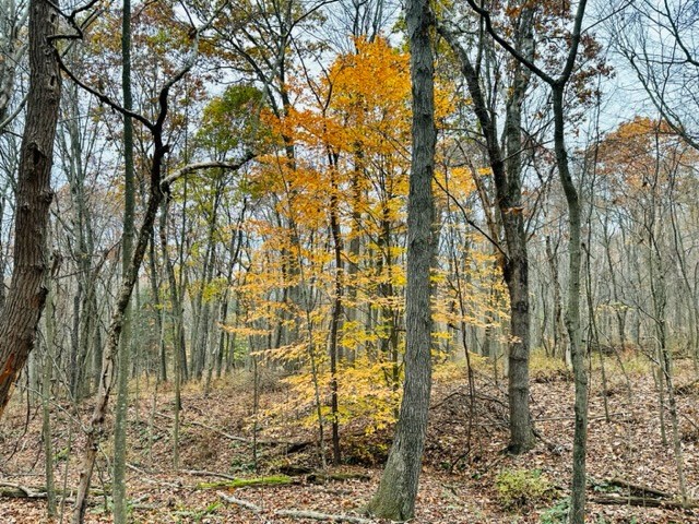 0 Metz Rd Street Parker, PA 16049 - Photo 7 of 8