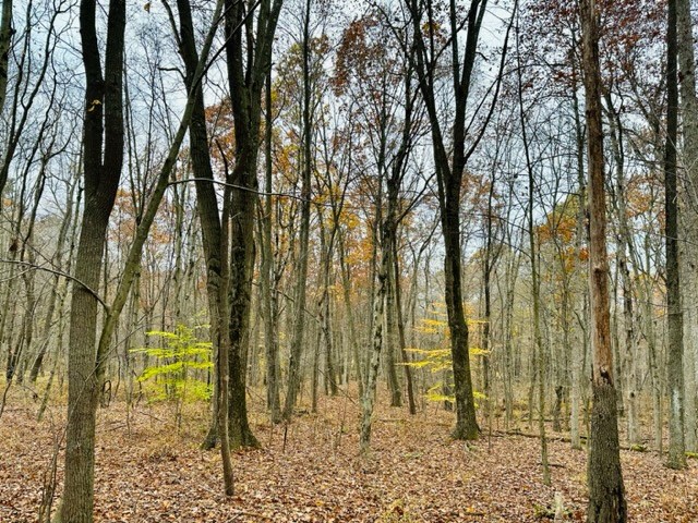 0 Metz Rd Street Parker, PA 16049 - Photo 8 of 8