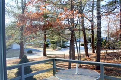 8 Quamhassett Road Buzzards Bay, MA 02532 - Photo 20 of 30 a view of outdoor space with lots of trees