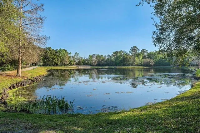 $6,500 | 815 Lake Evalyn Drive, Celebration, FL 34747