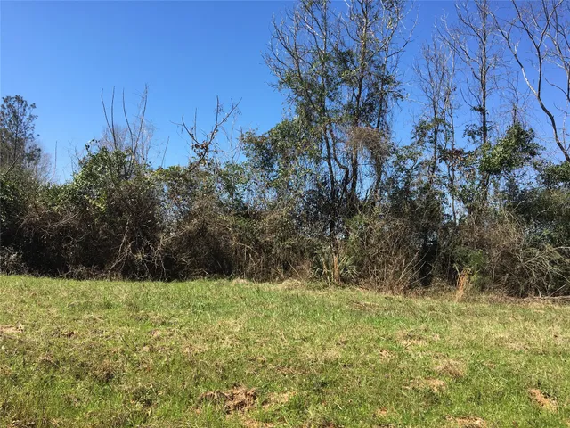 $48,000 | Lot 15 County Road 175, Garrison, TX 75946