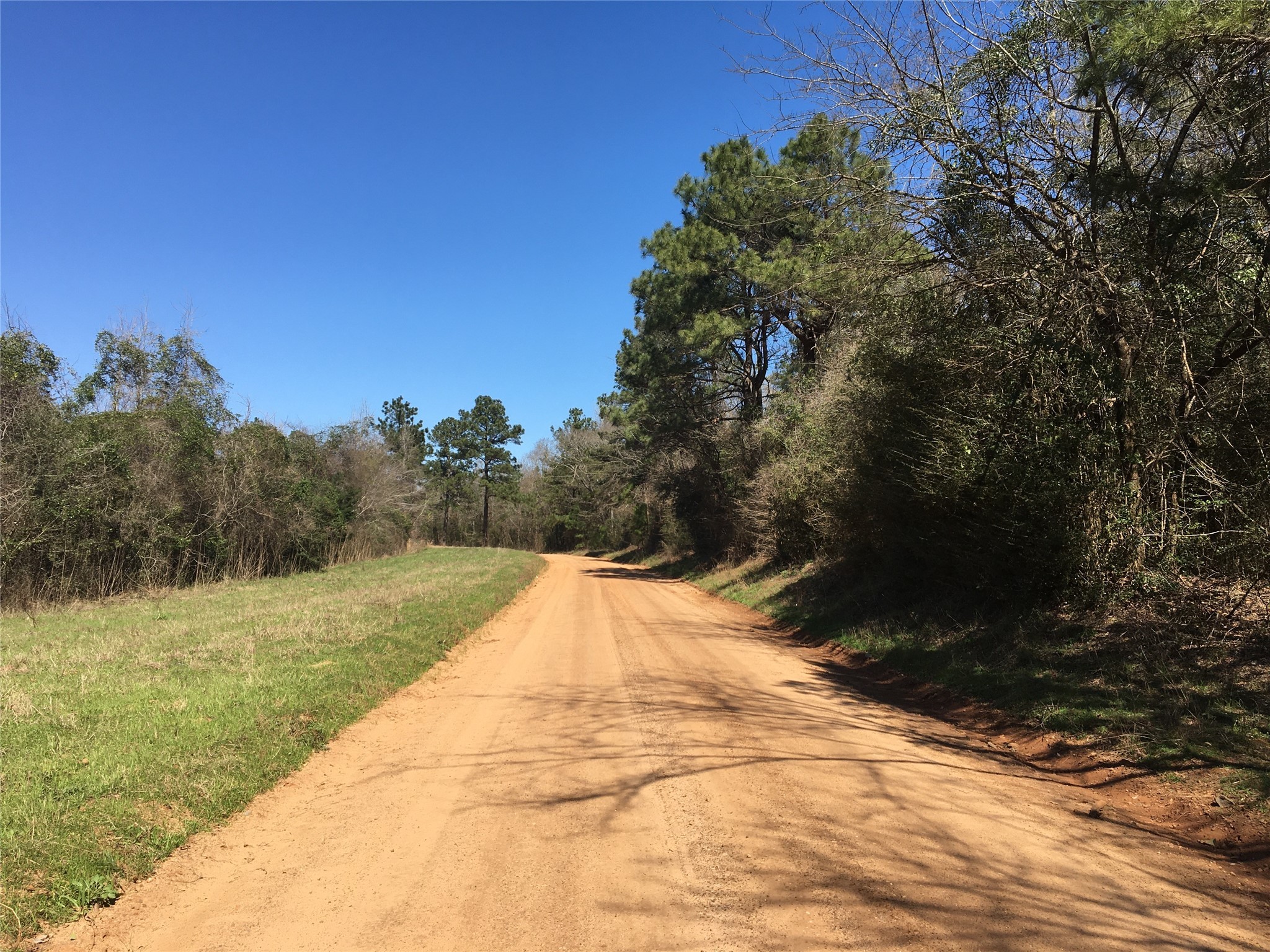 Lot 15 County Road 175 Garrison, TX 75946 - Photo 2 of 6 a view of a backyard