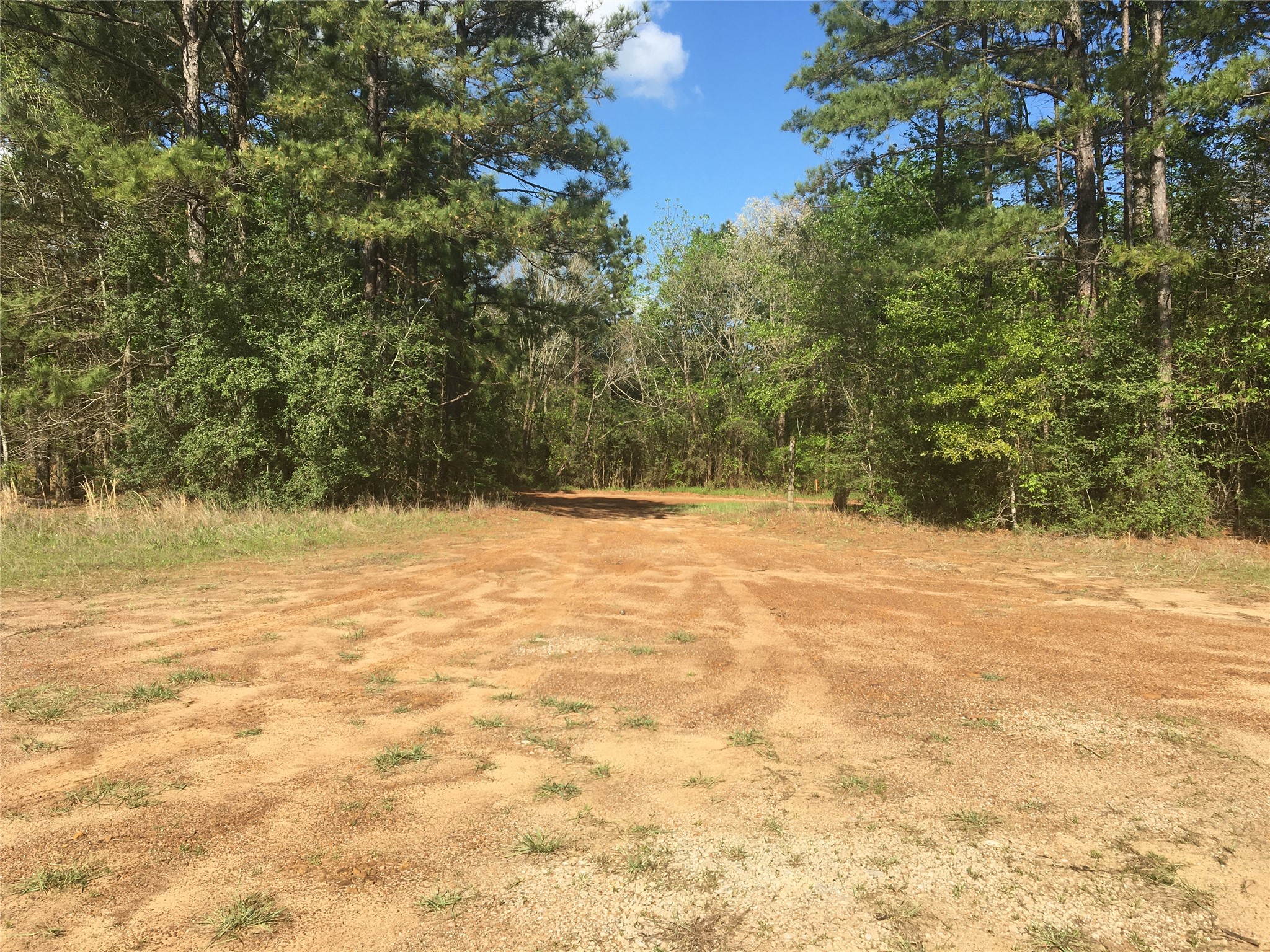 Lot 15 County Road 175 Garrison, TX 75946 - Photo 3 of 6