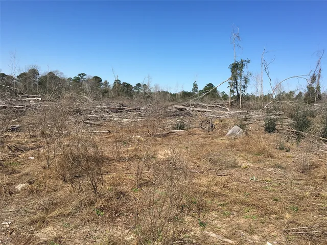 $48,000 | Lot 15 County Road 175, Garrison, TX 75946