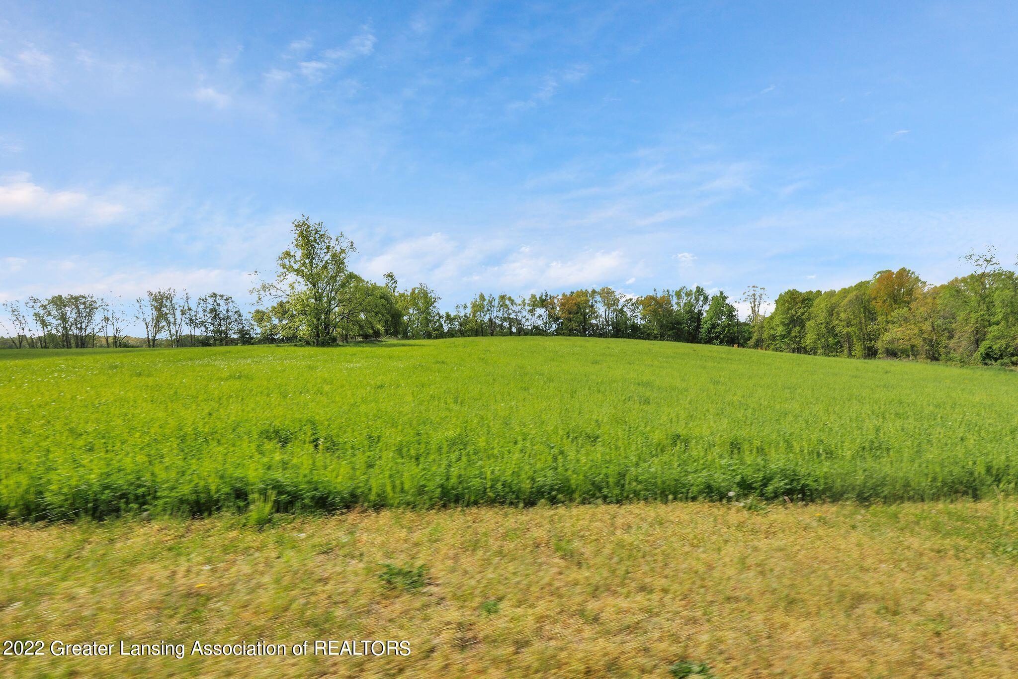 3020 Stillson Road Stockbridge, MI 49285 - Photo 4 of 51 2