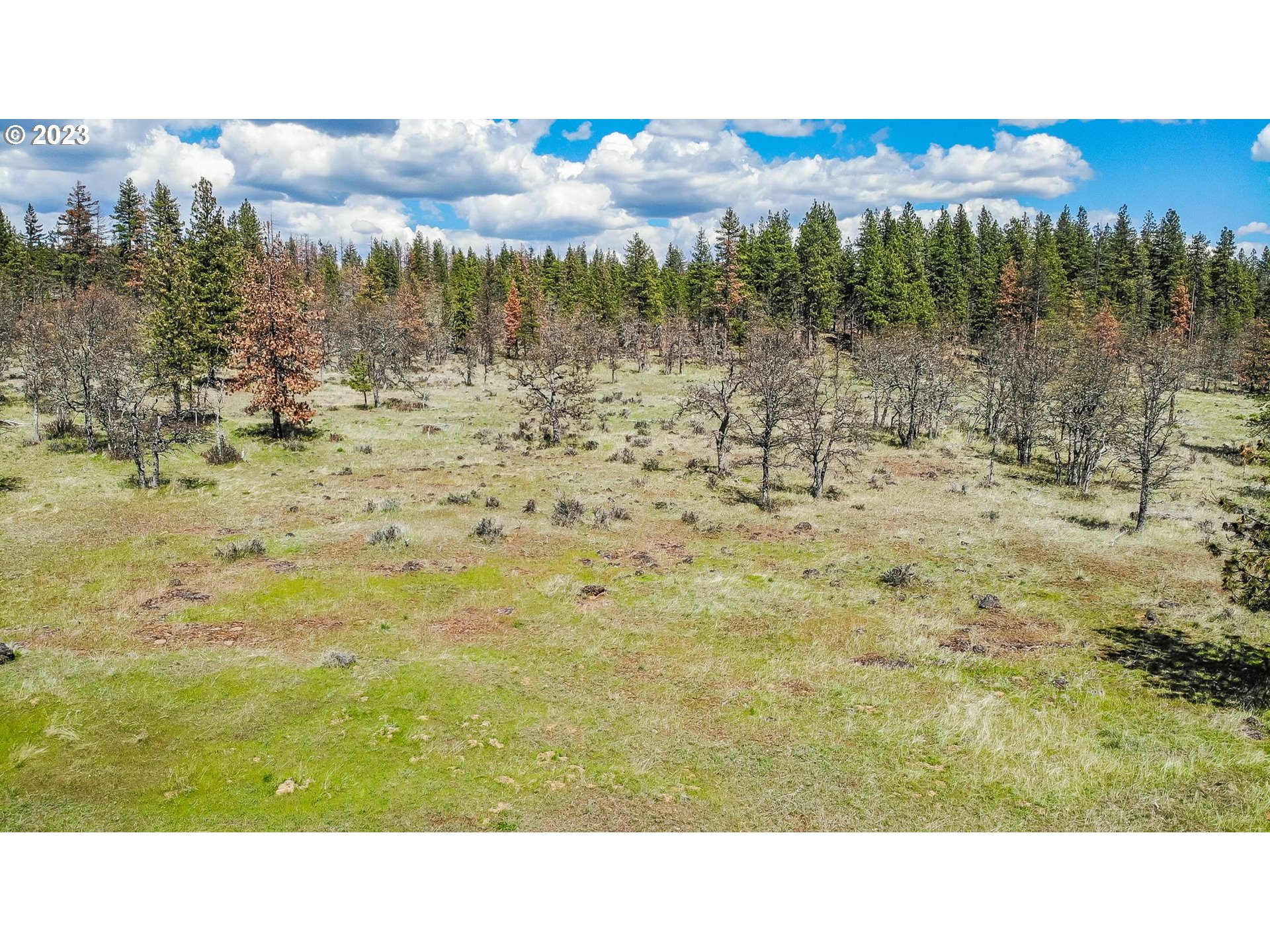 19 Rays Way Goldendale, WA 98620 - Photo 11 of 47 Gallery Image 11