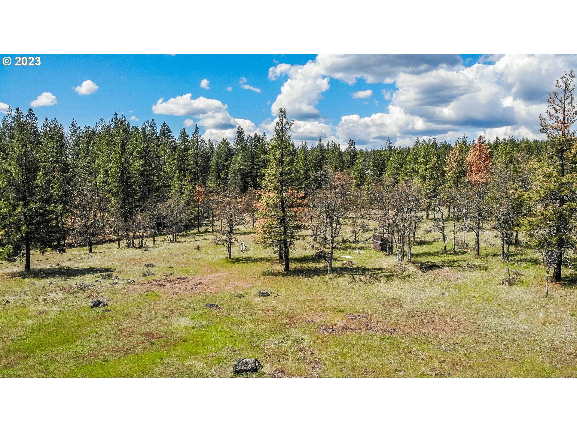 19 Rays Way Goldendale, WA 98620 - Photo 12 of 47 Gallery Image 12