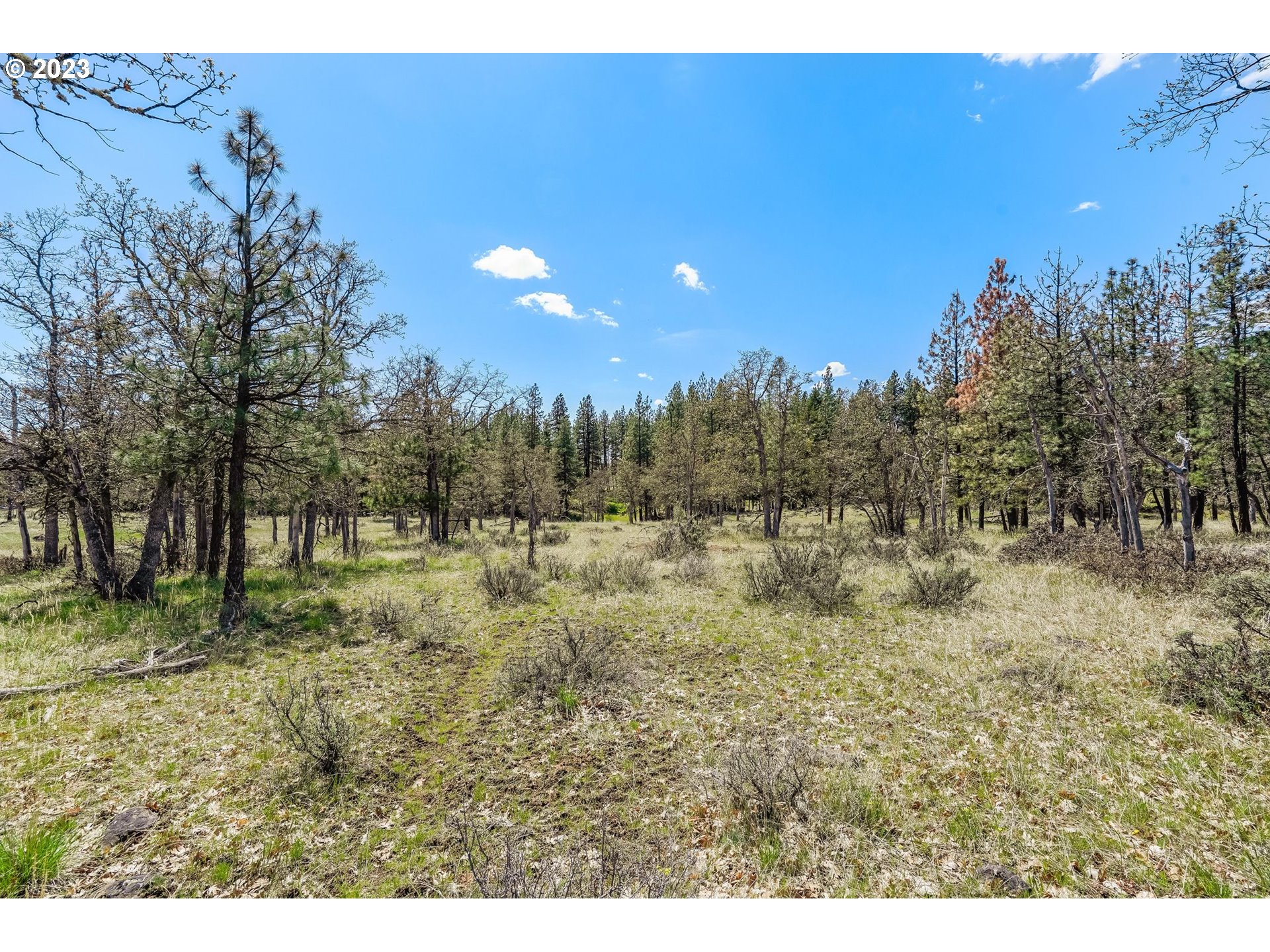 19 Rays Way Goldendale, WA 98620 - Photo 14 of 47 Gallery Image 14