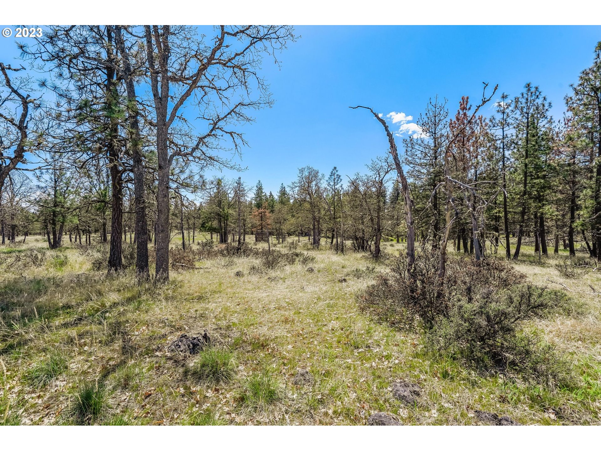 19 Rays Way Goldendale, WA 98620 - Photo 15 of 47 Gallery Image 15