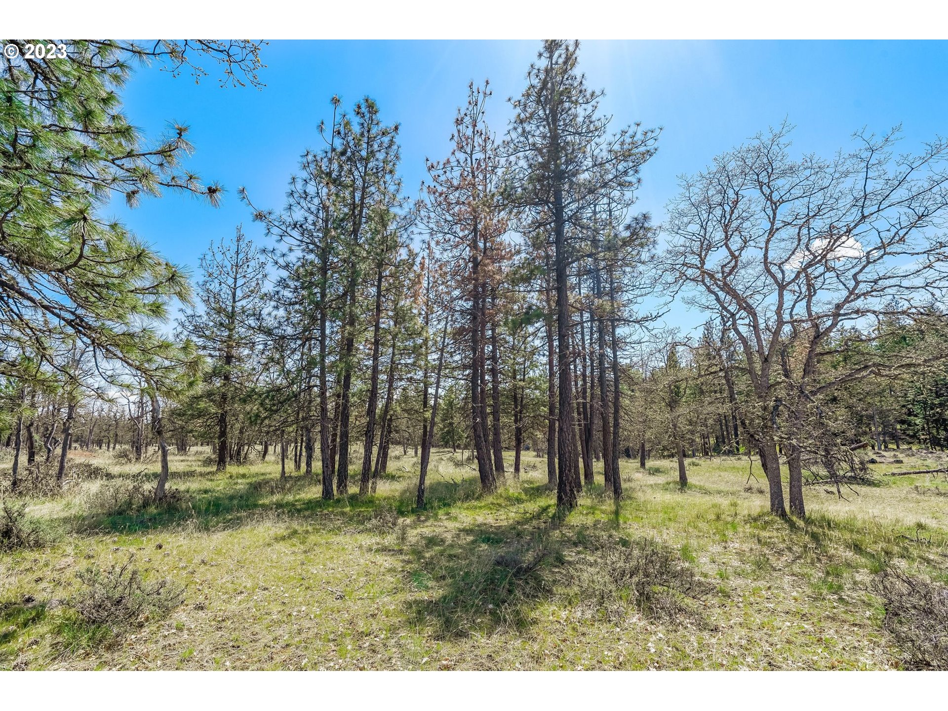 19 Rays Way Goldendale, WA 98620 - Photo 16 of 47 Gallery Image 16