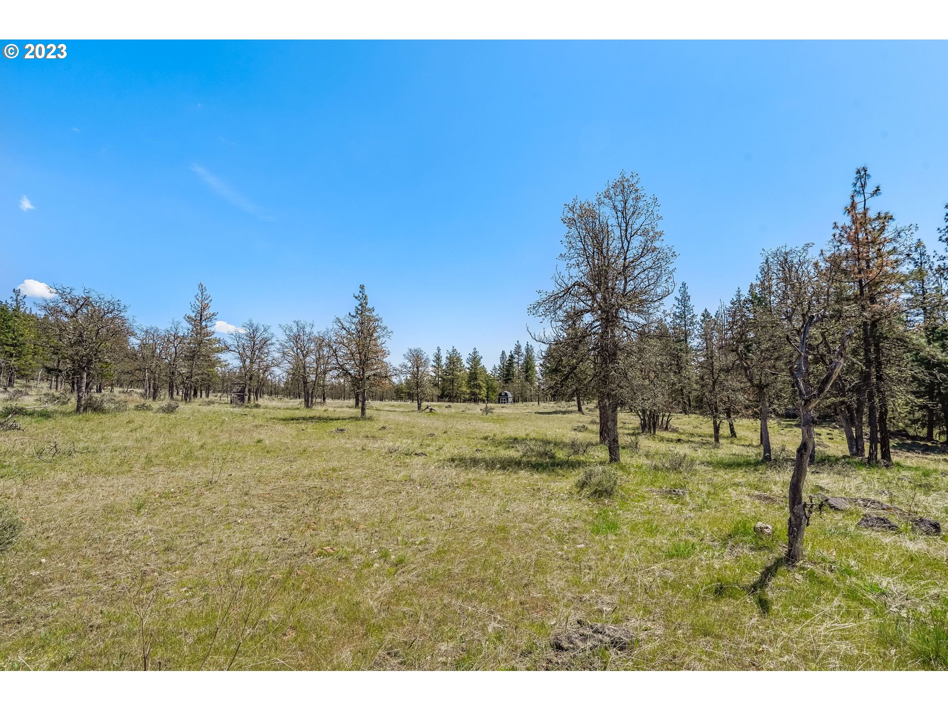 19 Rays Way Goldendale, WA 98620 - Photo 19 of 47 Gallery Image 19