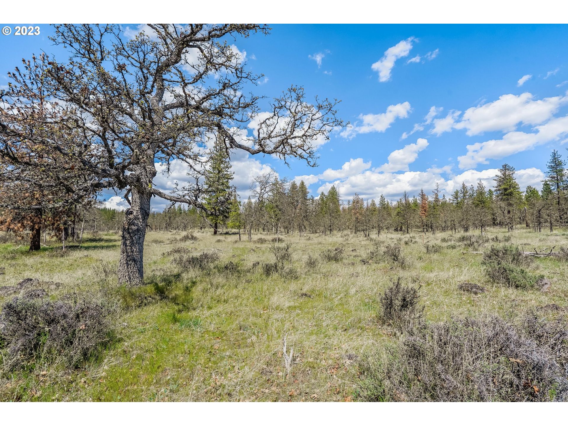 19 Rays Way Goldendale, WA 98620 - Photo 24 of 47 Gallery Image 24