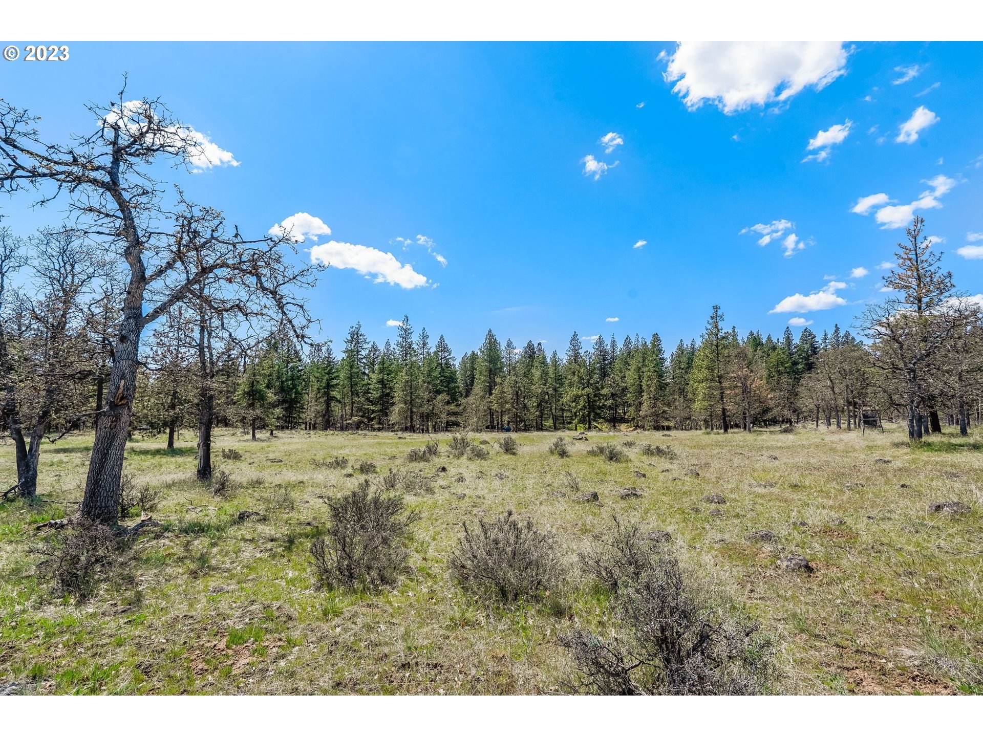 19 Rays Way Goldendale, WA 98620 - Photo 25 of 47 Gallery Image 25