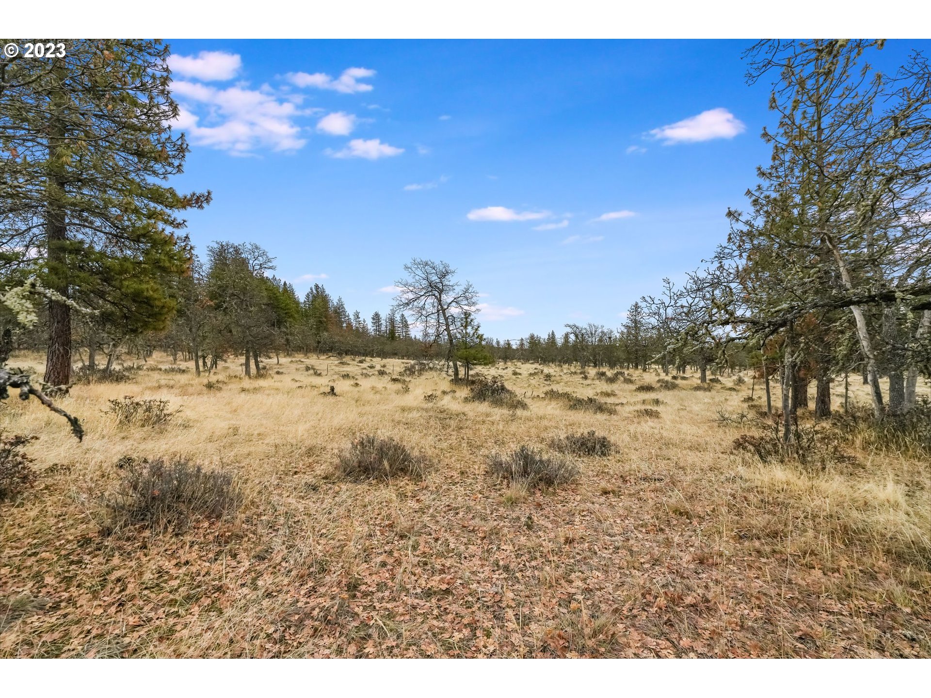 19 Rays Way Goldendale, WA 98620 - Photo 29 of 47 Gallery Image 29