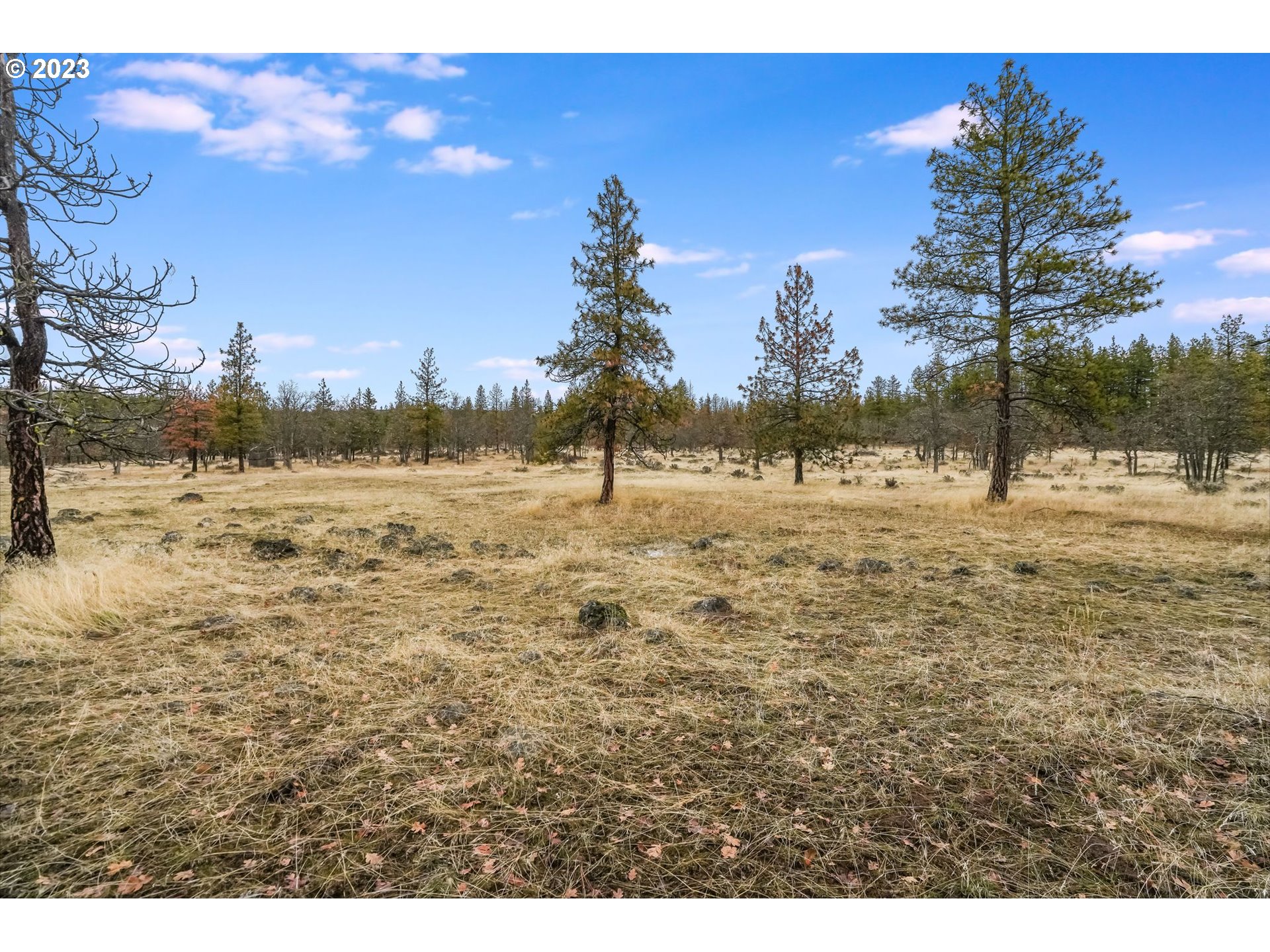 19 Rays Way Goldendale, WA 98620 - Photo 30 of 47 Gallery Image 30